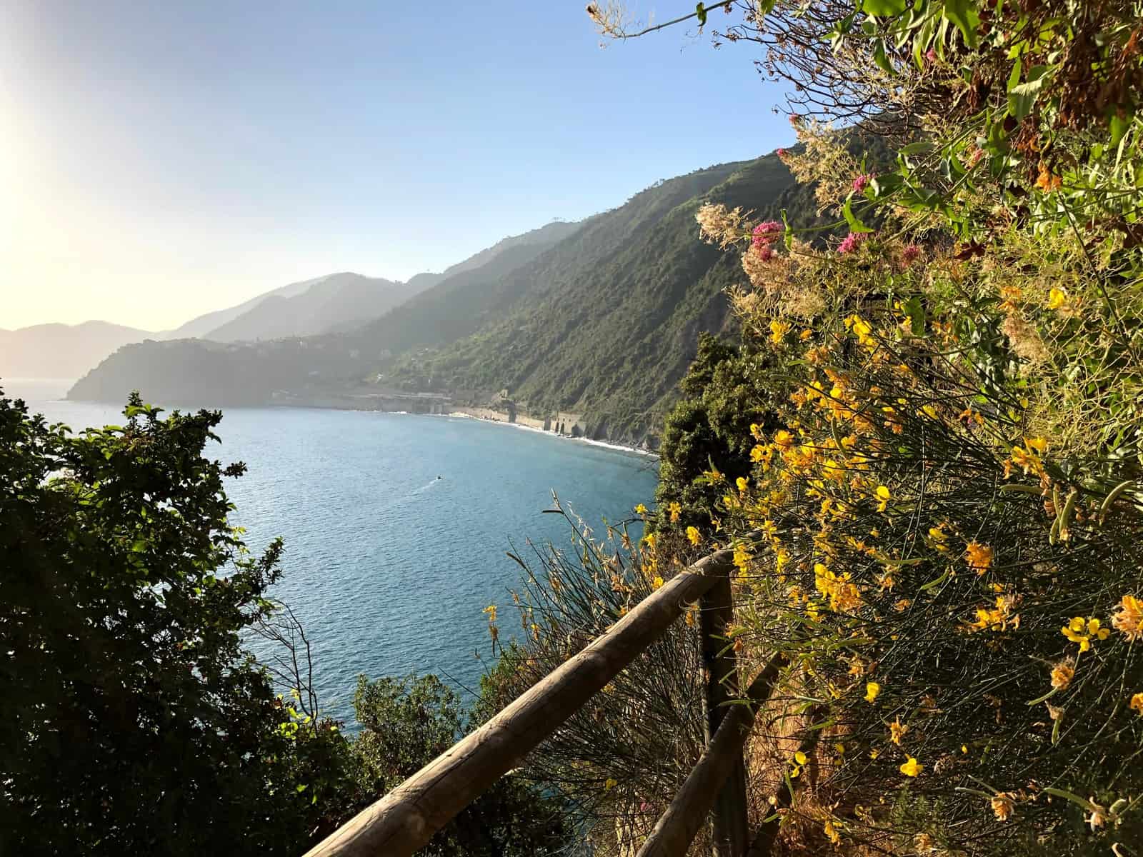 Cinque Terre Manarola Trail With Wildflowers And View Of Mediterranean Sea