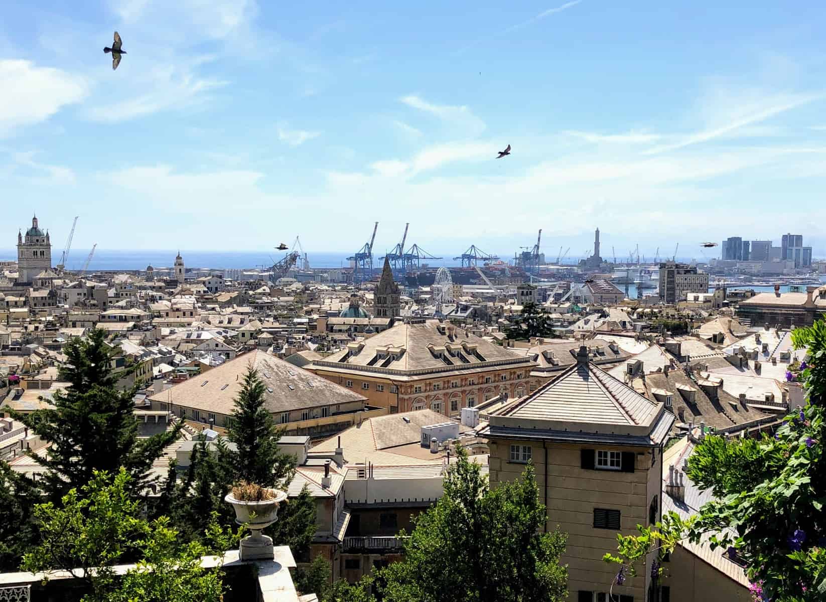 Genoa View Of Harbor Port From Villetta Di Negro Park Birds Buildings