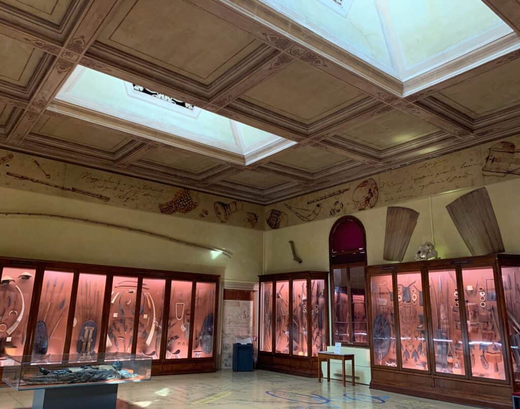 Venice Natural History Museum Interior With Glass Cabinet Displays And Skylights