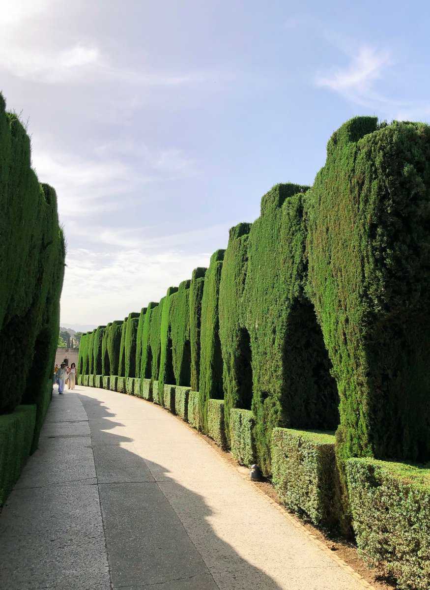 Alhambra Gardens Granada Cypress Trees Tall Hedge Garden Path People Walking