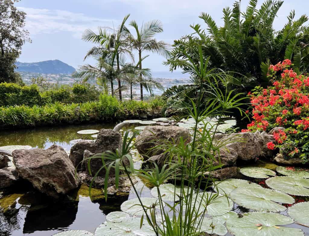 Ischia Island Italy La Mortella Botanic Garden Tropical Pool Lilly Pads Rocks Palms Orange Flowers Mountains In Distance