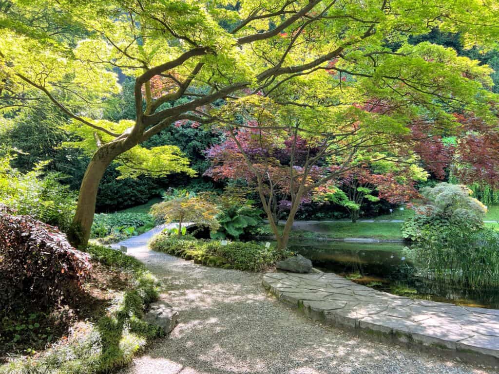 Lake Como Bellegio Villa Melzi Japanese Garden Colorful Trees And Pond