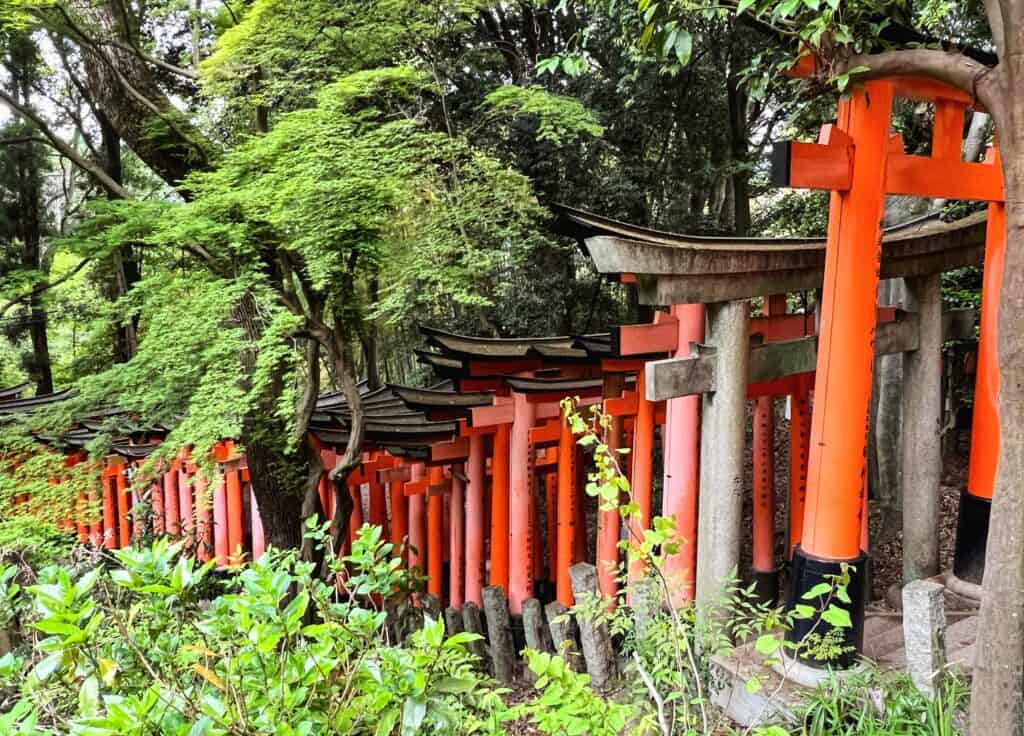 Fushimi Inari Shrine Exterior View Orange Gates Tunnel Trail Through Forest Kyoto Japan