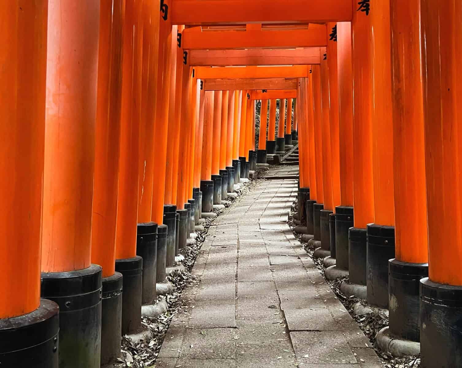Fushimi Inari Shrine Kyoto Tunnel Orange Gates Senbon Torii Interior View