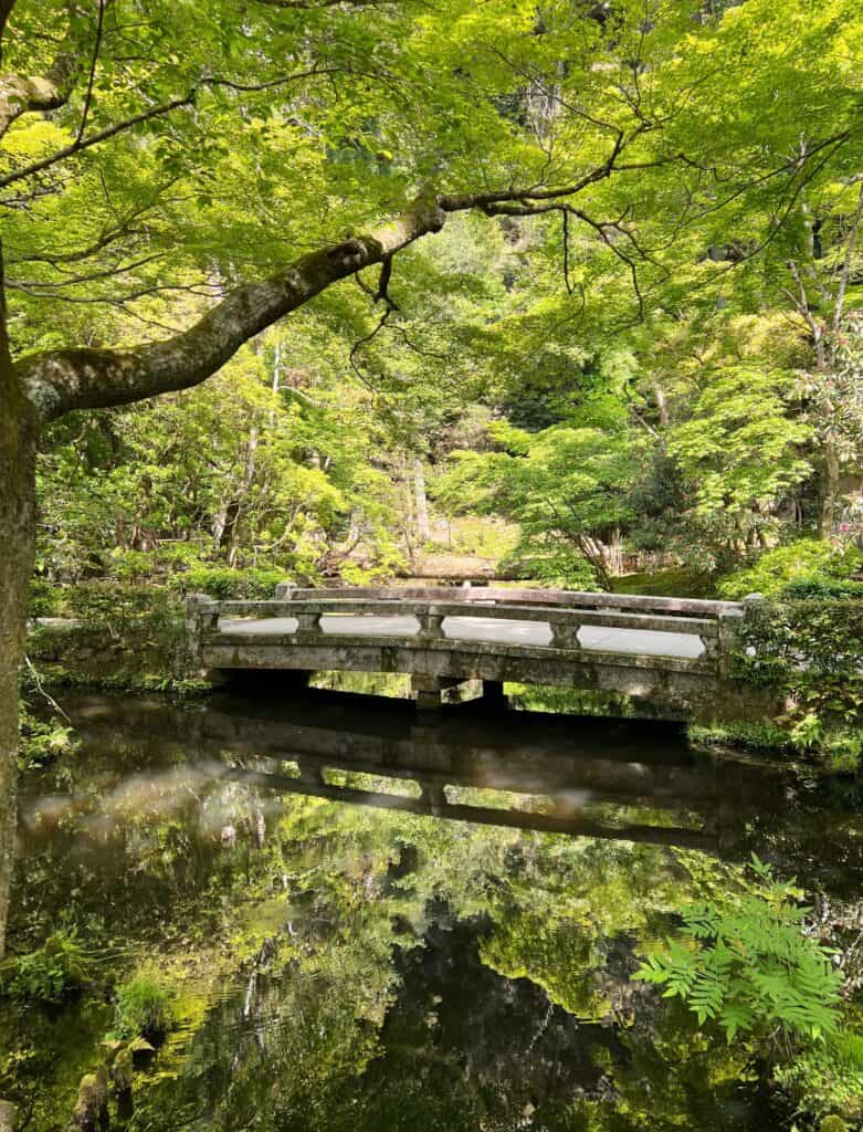 Honen-in Temple Garden With Green Maple Trees And Stone Bridge Over Pond Kyoto Japan