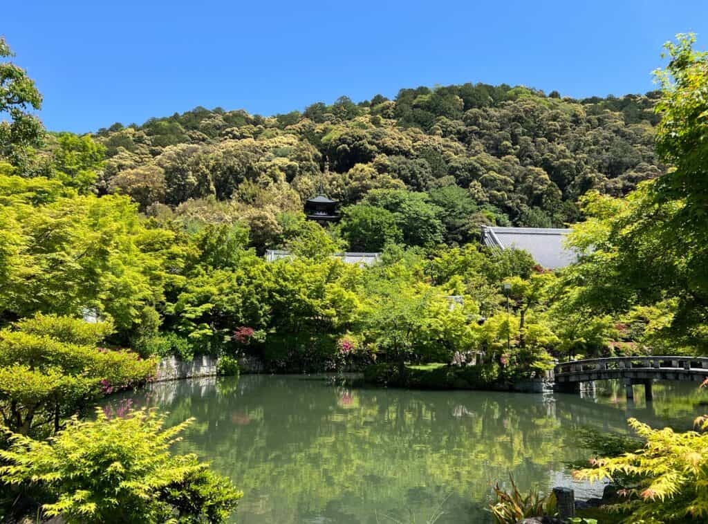 Eikando Temple Hillside Garden Pond With Green Maple Trees Reflected In Water Kyoto Japan