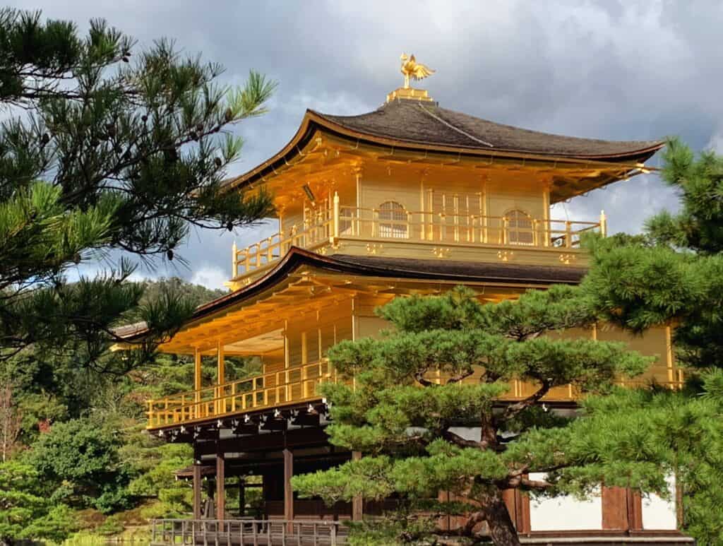 Kinkaku-ji Golden Temple Exterior With Pine Trees Kyoto Japan